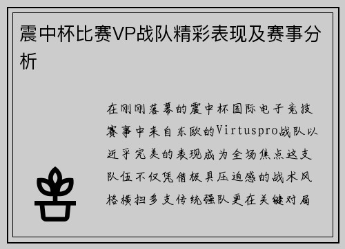 震中杯比赛VP战队精彩表现及赛事分析